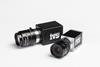 IVS cameras