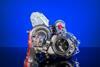 BorgWarner turbocharger