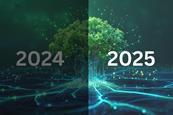 2024 Wrap-Up, 2025 Predictions