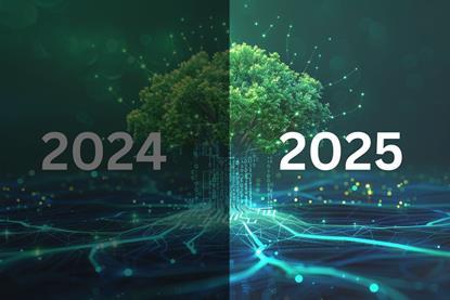 2024 Wrap-Up, 2025 Predictions