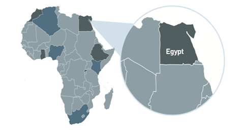 AMS Africa Egypt motif