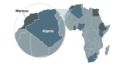 AMS Africa Algeria motif