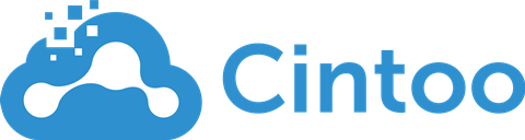 Cintoo Logo 2025 - No Tagline